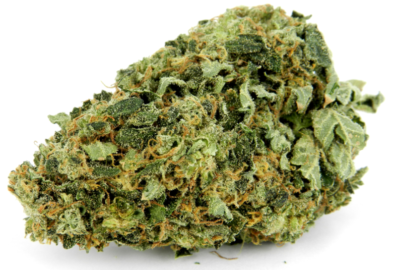 Hindu Kush