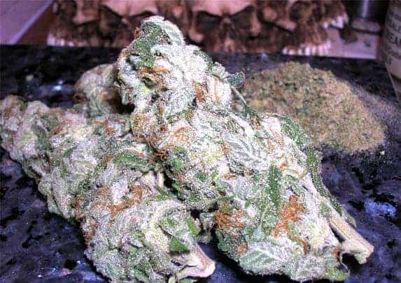 White Widow