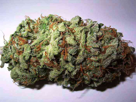 Sweet Tooth