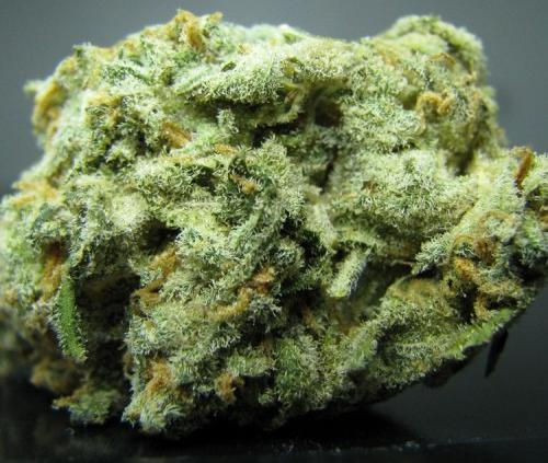 Pineapple express